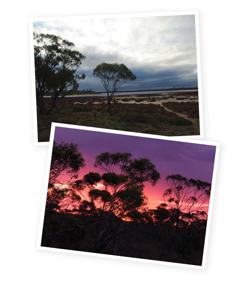 sunraysia bushwalk